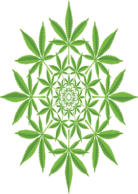 Cannabis Mandala