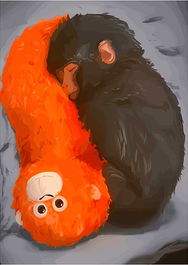 Two monkeys cuddling