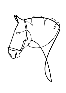 Minimalist Horse Head Line Art