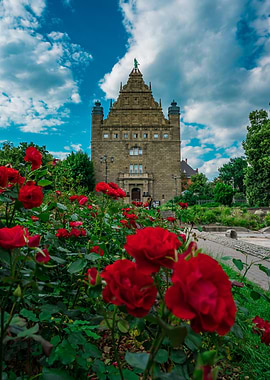 Red Roses in Front of Historic Building