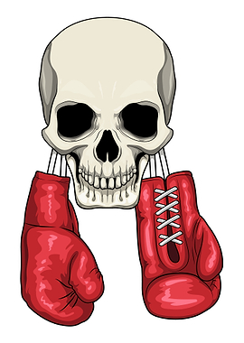 Skull Boxer Boxing gloves