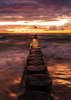 Seagull flying over wooden pier at sunset Polish Baltic Sea