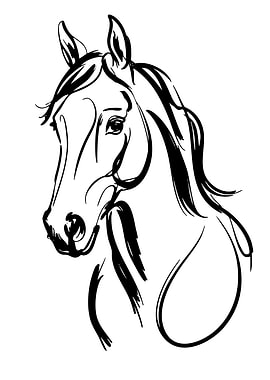 Elegant Horse Head Sketch