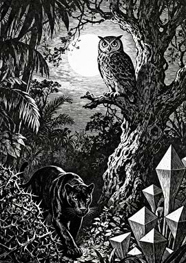 Black Panther and Owl in Moonlit Jungle