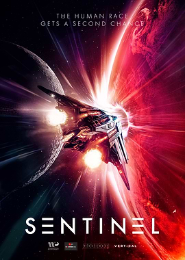 Sentinel Spaceship in Cosmic Anomaly