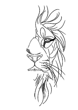 Lion Face Sketch