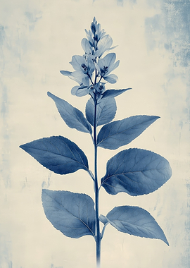 Blue Cyanotype Flower and Leaves | Vintage Plantain Botanical Wall Art