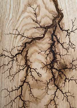 Fractal Burn Wood Art