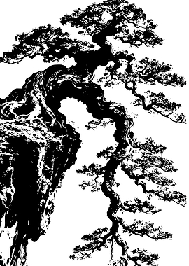 Ancient Bonsai Tree on Cliff