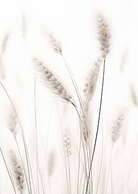 Ethereal Wheat Stalks