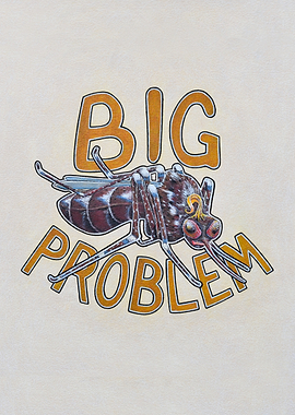 Big Problem Mosquito Illustration
