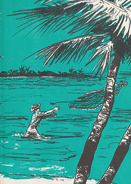 Man fishing in tropical waters