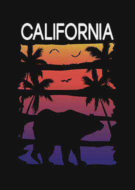 California Bear Sunset Palm Trees