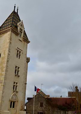 French Tower and Flag