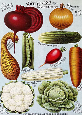 Vintage Vegetable Seed Catalog