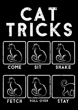 Cat Tricks Poster, Funny Cat Training Chart Wall Art, Humor Pet Illustration Print