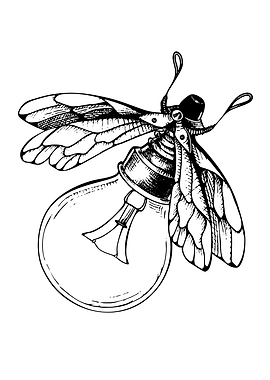 Moth on a Light Bulb