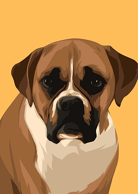 Boxer Dog Portrait