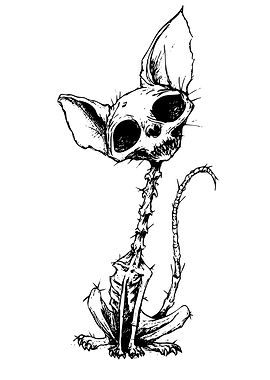Spooky Skeleton Cat Illustration