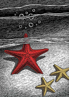 Starfish Underwater Scene