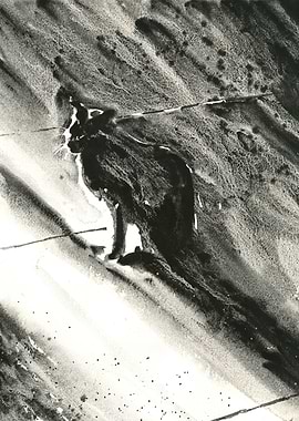 Black Cat Silhouette in Dramatic Light