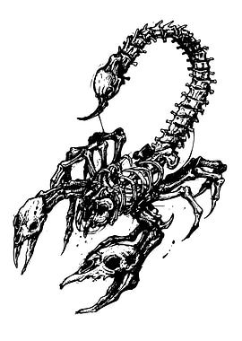Scorpion Skeleton Illustration