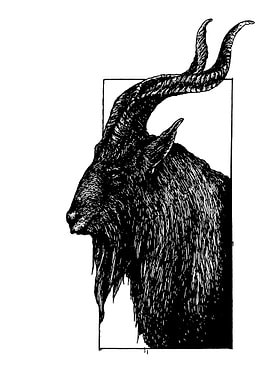 Black and White Goat Illustration