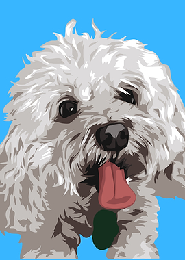 Cute white dog with tongue out