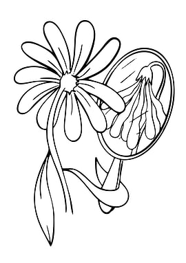 Flower Reflected in a Mirror