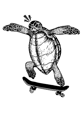 Skateboarding Turtle Illustration