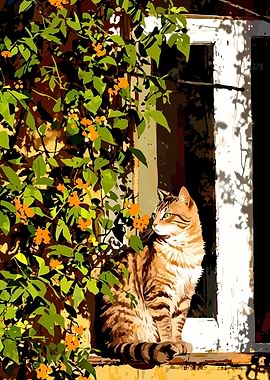 Tabby Cat on a Sunny Window Ledge