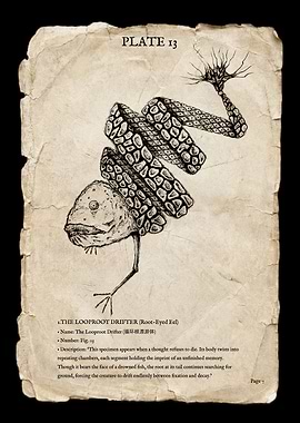 PLATE 3 — The Looproot Drifter (Memory Coil)