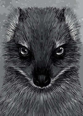 Close-up of a Fox's Face