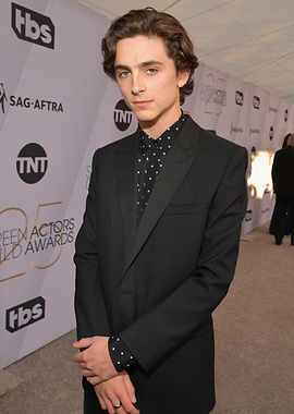 Timothée Chalamet at SAG Awards