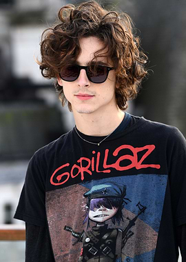 Timothée Chalamet wearing Gorillaz t-shirt