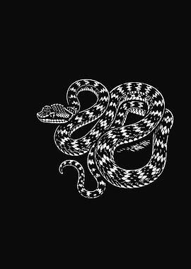 Black and White Snake Illustration