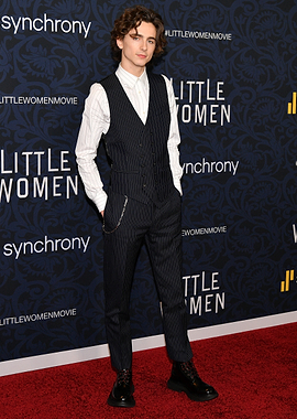 Timothée Chalamet at Little Women Premiere