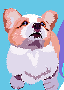 Corgi Puppy Looking Up