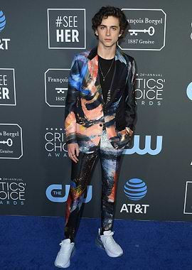 Timothée Chalamet in a colorful suit