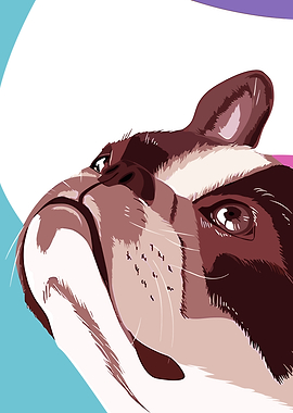 French Bulldog Portrait