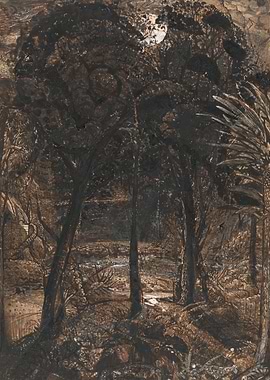 Moonlit Forest Scene