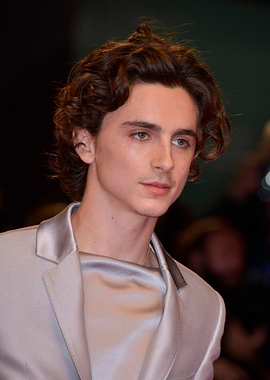 Timothée Chalamet on Red Carpet