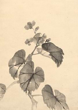 Ink Wash Painting of Grape Leaves and Flowers