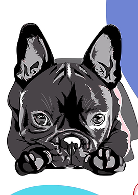 French Bulldog Portrait