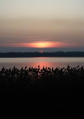 Sunset over a lake with reeds