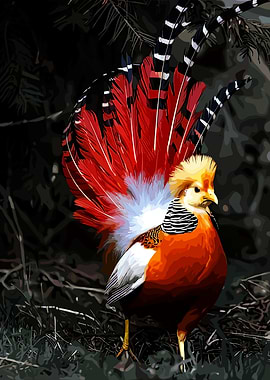 Royal Pheasant Bird
