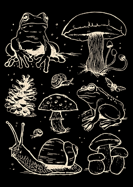 Forest Frog & Mushroom Poster, Linocut Style Nature Wall Art, Snail Woodland Print