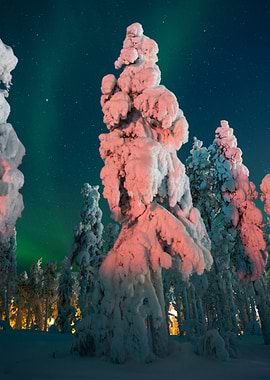 Aurora Borealis Lapland Levi
