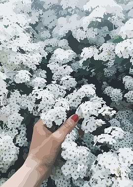 Hand touching white flowers