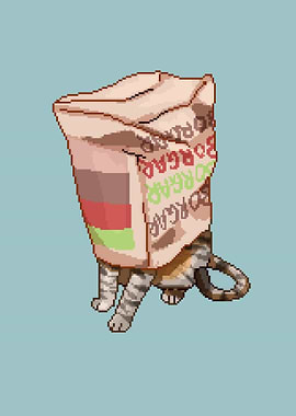 Cat in a Bag
